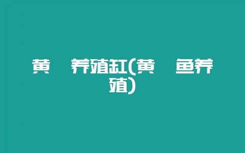黄鳝养殖缸(黄鳝鱼养殖)-会东网