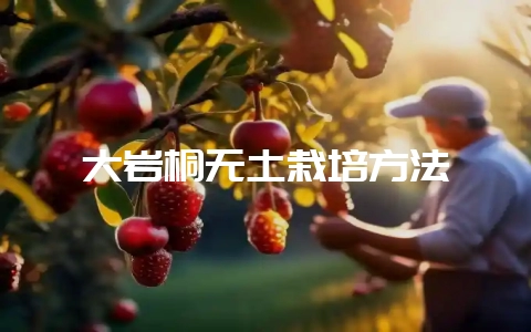大岩桐无土栽培方法-会东网