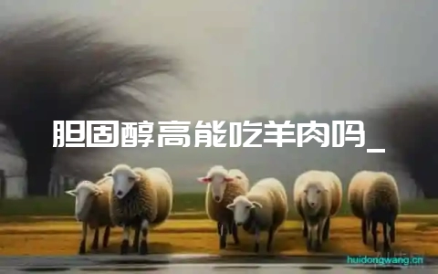 胆固醇高能吃羊肉吗_-会东网