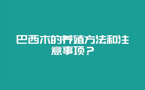 巴西木的养殖方法和注意事项？-会东网