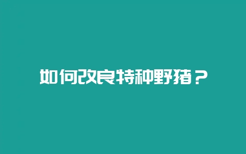 如何改良特种野猪？-会东网
