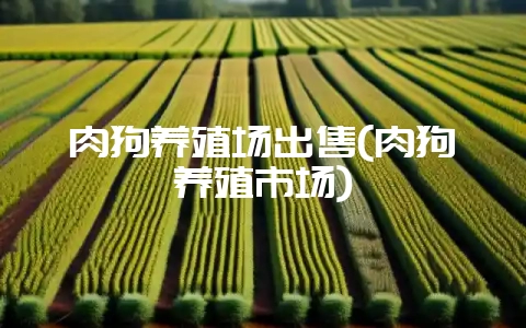肉狗养殖场出售(肉狗养殖市场)-会东网