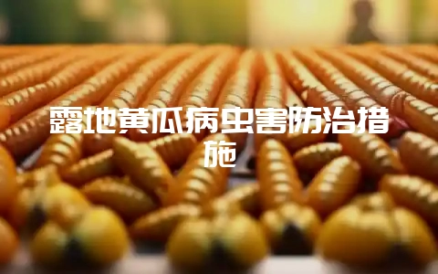 露地黄瓜病虫害防治措施-会东网