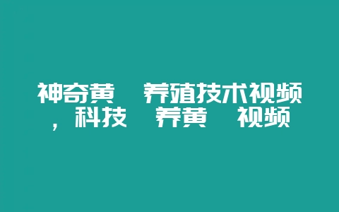 神奇黄鳝养殖技术视频，科技苑养黄鳝视频-会东网