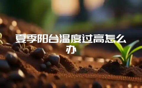 夏季阳台温度过高怎么办-会东网