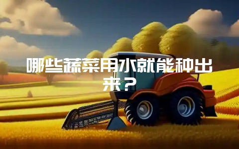 哪些蔬菜用水就能种出来?-会东网