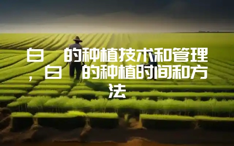 白芨的种植技术和管理，白芨的种植时间和方法-会东网