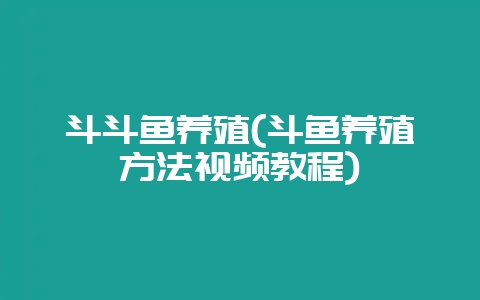 斗斗鱼养殖(斗鱼养殖方法视频教程)-会东网