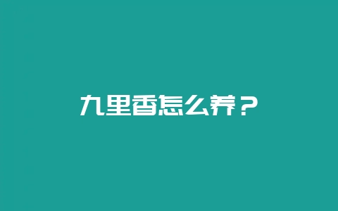 九里香怎么养？-会东网