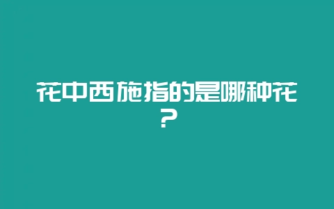 花中西施指的是哪种花？-会东网