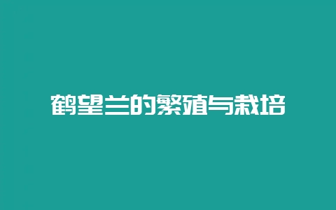 鹤望兰的繁殖与栽培-会东网
