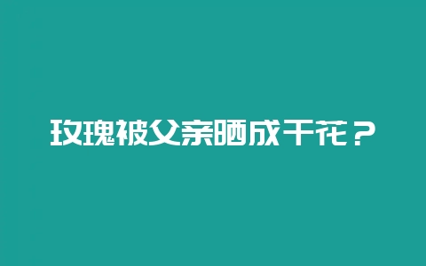玫瑰被父亲晒成干花？-会东网