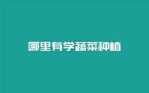 哪里有学蔬菜种植-会东网