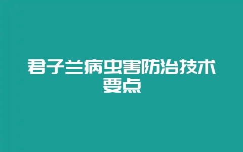 君子兰病虫害防治技术要点-会东网