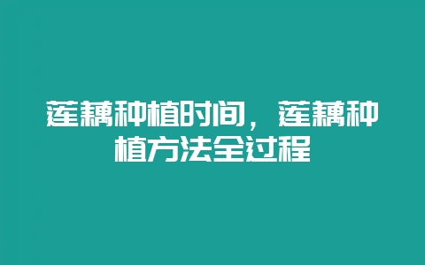 莲藕种植时间，莲藕种植方法全过程-会东网