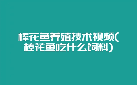 棒花鱼养殖技术视频(棒花鱼吃什么饲料)-会东网