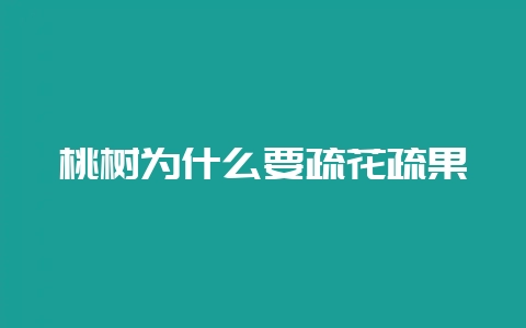桃树为什么要疏花疏果-会东网