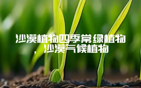 沙漠植物四季常绿植物，沙漠气候植物-会东网