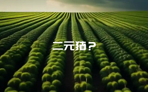 二元猪？-会东网