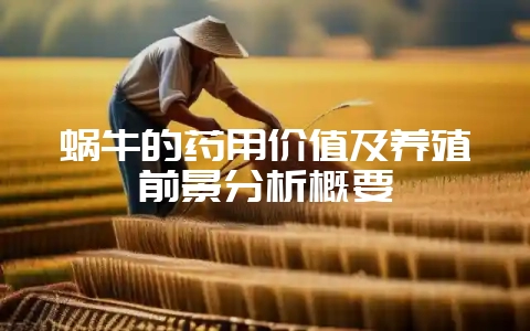 蜗牛的药用价值及养殖前景分析概要-会东网