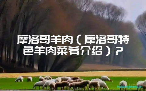 摩洛哥羊肉（摩洛哥特色羊肉菜肴介绍）？-会东网