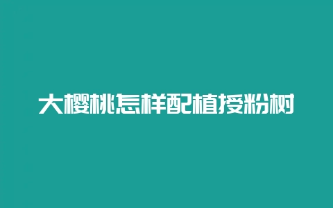 大樱桃怎样配植授粉树-会东网