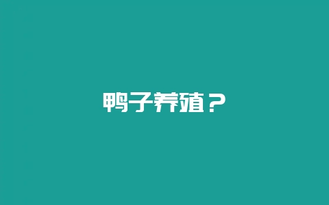 鸭子养殖？-会东网