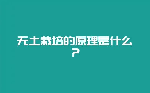 无土栽培的原理是什么？-会东网