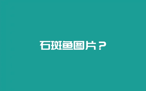 石斑鱼图片？-会东网