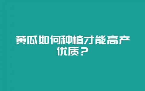 黄瓜如何种植才能高产优质?-会东网