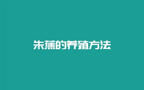 朱蕉的养殖方法-会东网