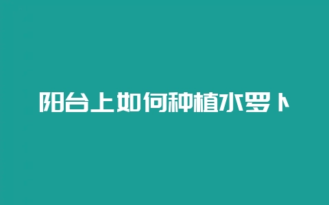 阳台上如何种植水罗卜-会东网