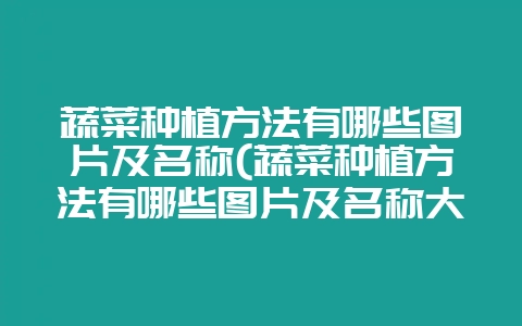 蔬菜种植方法有哪些图片及名称(蔬菜种植方法有哪些图片及名称大全)-会东网