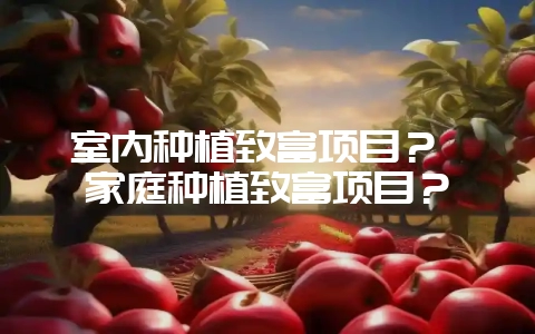室内种植致富项目? 家庭种植致富项目?-会东网