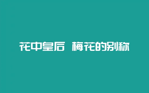 花中皇后 梅花的别称-会东网