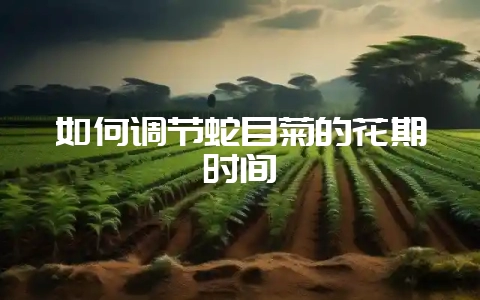 如何调节蛇目菊的花期时间-会东网