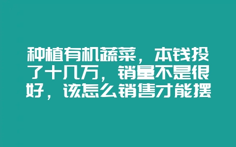 种植有机蔬菜,本钱投了十几万,销量不是很好,该怎么销售才能摆脱困境?-会东网