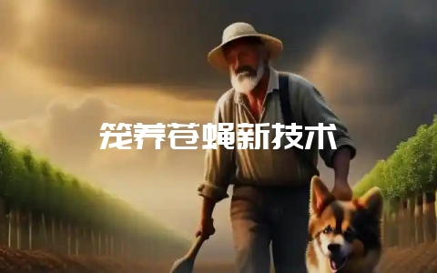 笼养苍蝇新技术-会东网
