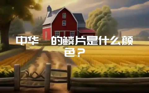 中华鲟的鳞片是什么颜色?-会东网