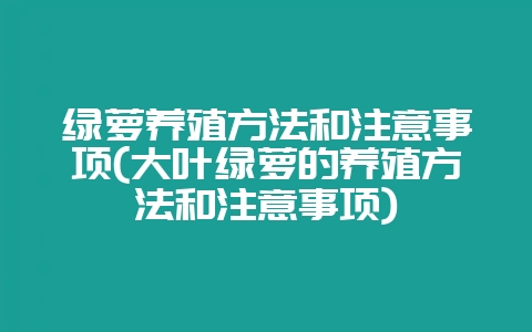 绿萝养殖方法和注意事项(大叶绿萝的养殖方法和注意事项)-会东网