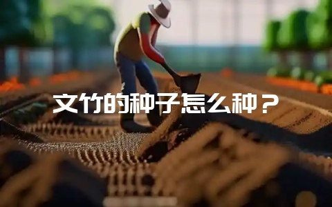 文竹的种子怎么种?-会东网