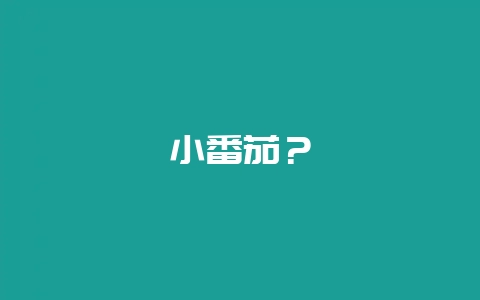 小番茄?插图 小番茄?插图