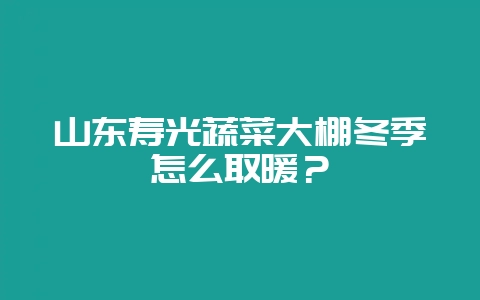 山东寿光蔬菜大棚冬季怎么取暖?-会东网