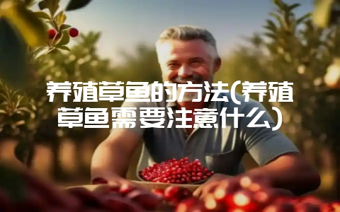 养殖草鱼的方法(养殖草鱼需要注意什么)-会东网