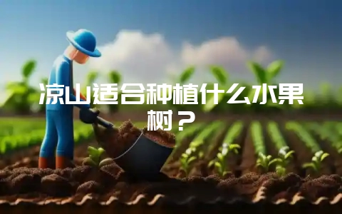 凉山适合种植什么水果树？-会东网