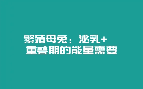 繁殖母兔：泌乳+妊娠重叠期的能量需要-会东网