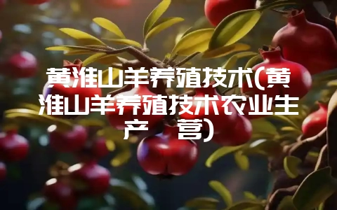 黄淮山羊养殖技术(黄淮山羊养殖技术农业生产弪营)-会东网