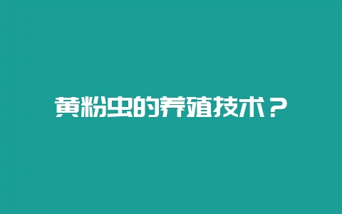 黄粉虫的养殖技术？-会东网