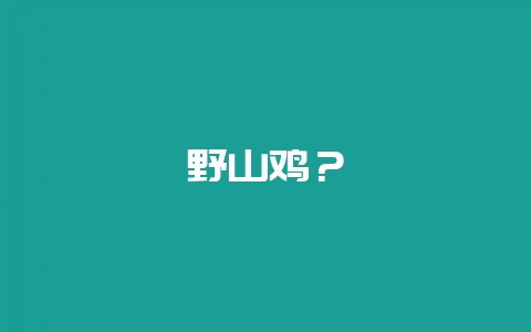 野山鸡？-会东网