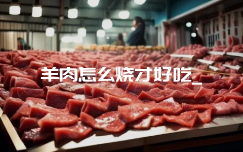 羊肉怎么烧才好吃_-会东网